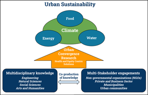 Conceptual framework